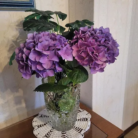 Quarto em Acomodações Particulares Bella Vista *