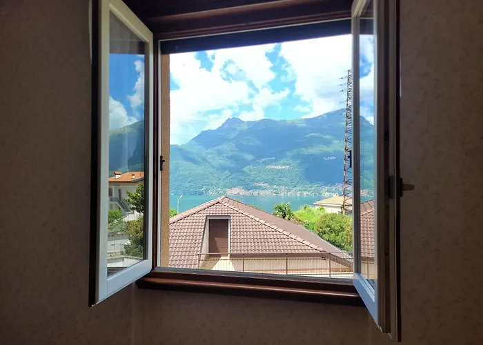 Bella Vista Проживание в семье *