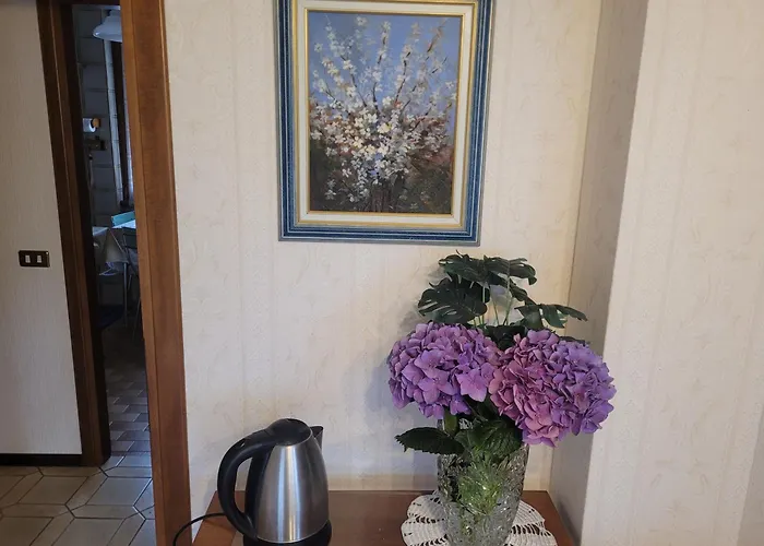 Проживание в семье Bella Vista *