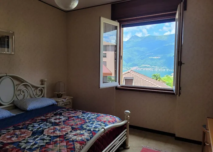 Bella Vista Проживание в семье *